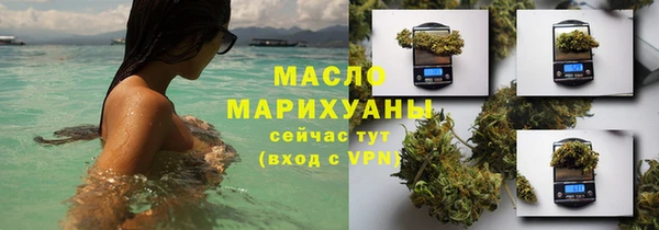 молекула духа Ельня