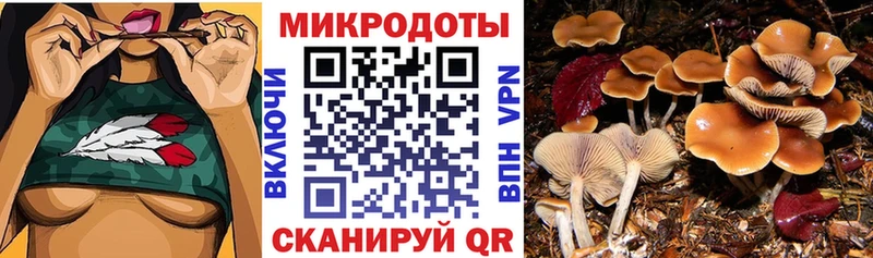 Галлюциногенные грибы ЛСД  наркота  Новохопёрск 